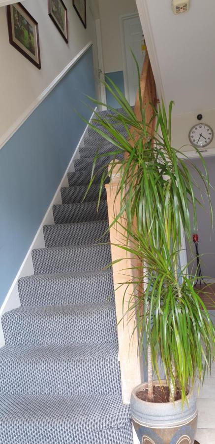 Bed & Breakfast Farnham House